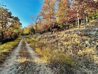 lot 17 Lake Horizons Rd, Gravois Mills, MO 65037 - photo 7