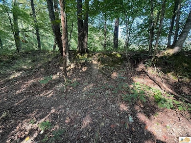 0 Pickett Mell Rd, Columbia, KY 42728 - photo 7