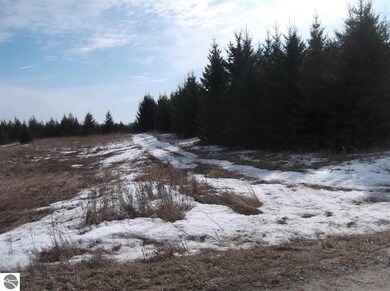 00 Galion Rd, Hale, MI 48739 - photo 2