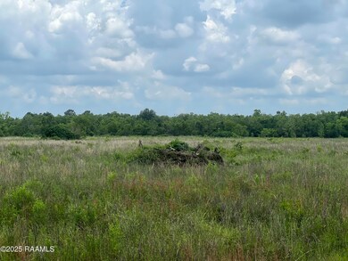 IMG_8075