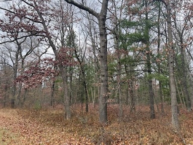 Parcel 2 Cleveland Dr, Bitely, MI 49309 - photo 2