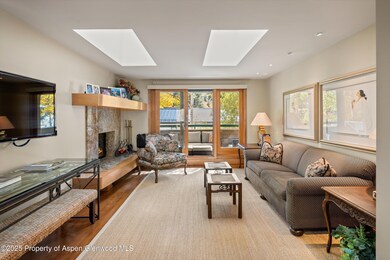 1020 E Hopkins Ave unit 9, Aspen, CO 81611 - photo 2