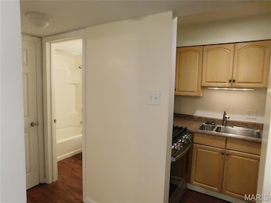 6910 Colonial Woods Dr unit 97, Saint Louis, MO 63129 - photo 4