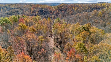 DJI_20241105111622_0018_D