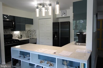 10077 Windstream Dr unit 1, Columbia, MD 21044 - photo 7