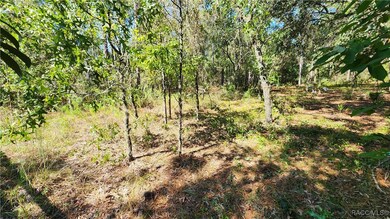 3659 W Lappula Ln, Citrus Springs, FL 34433 - photo 6