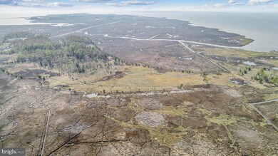 1806 Crocheron Rd, Toddville, MD 21672 - photo 3