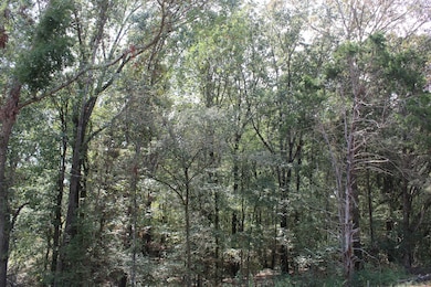 0 Smith Rd unit 25130754, Hernando, MS 38632 - photo 3