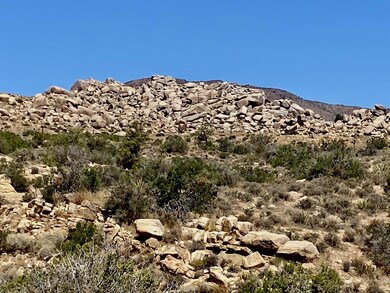 IMG_8521