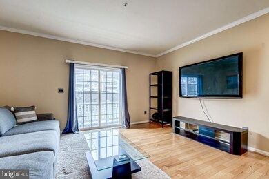 536 Garrett a Morgan Blvd, Hyattsville, MD 20785 - photo 7