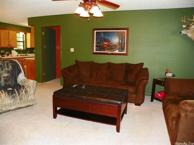 3805 Cedar Valley Dr, Paragould, AR 72450 - photo 3