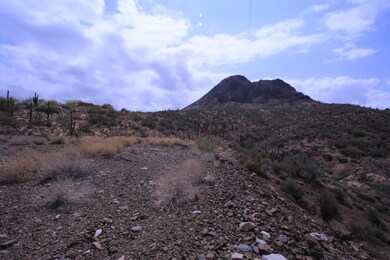 3xxx W Gibbons RD New River AZ 85087