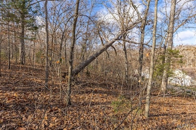 6110 Shenandoah Dr, Raintree Plantation, MO 63050 - photo 3