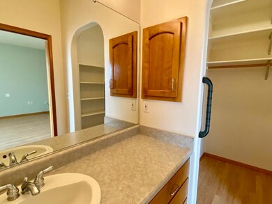 Primary vanity & closet