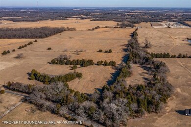 3.126 Dugan Chapel Rd, Bells, TX 75414 - photo 4