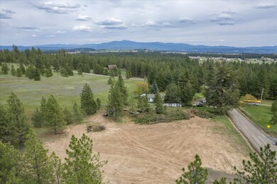 3520 W Woolard Rd, Colbert, WA 99005 - photo 2