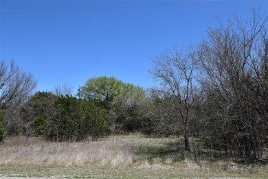 4115 Whitecrest Dr, Whitney, TX 76692 - photo 3