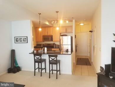 Silverton Condominiums, Silver Spring, MD 20910 - photo 4