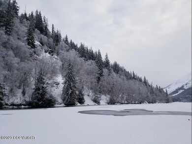 Chilkat Lake Winter 2