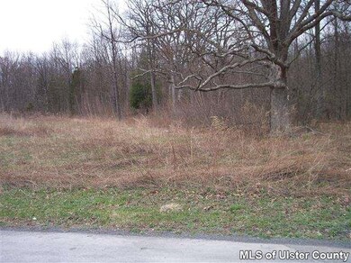 10 Lumen Ln, Highland, NY 12528 - photo 4