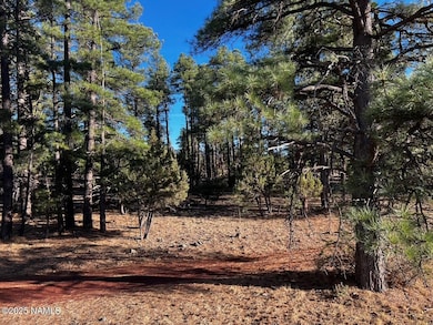 475 N Double A Ranch Rd, Williams, AZ 86046 - photo 6