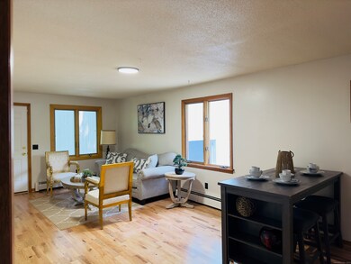 64 White Deer Rocks Rd unit 5E, Woodbury, CT 06798 - photo 6