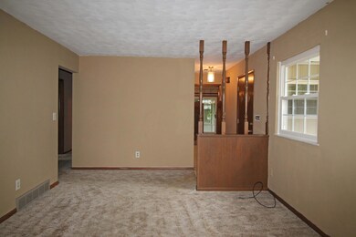 IMG_0017_edited-1