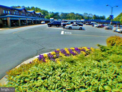 511 Bay Dale Ct unit 12, Arnold, MD 21012 - photo 3