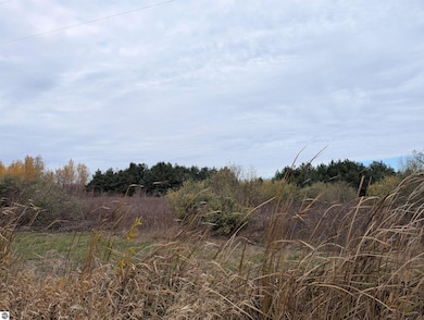 N/A Manor Rd, Au Gres, MI 48703 - photo 2