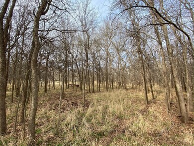 354 Lipan Trail, Horseshoe Bend, TX 76087 - photo 2