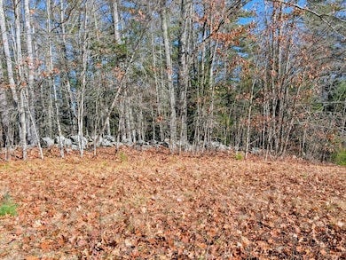 00 W Hamlet Rd, Newcastle, ME 04553 - photo 5