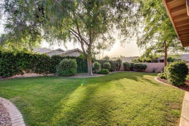 backyard 3