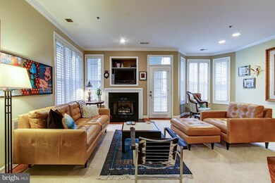 2330 14th St N unit 203, Arlington, VA 22201 - photo 4