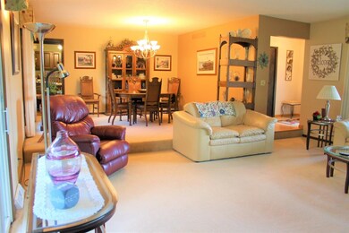 3912 E 117th Ave, Crown Point, IN 46307 - photo 7