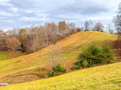 0 Sugar Hollow Rd unit Lot 3, Lafollette, TN 37766 - photo 5