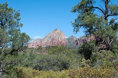 Lot View 6