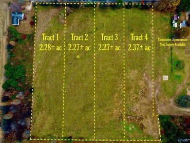 Tract 2 County Road 89, Anderson, AL 35610 - photo 3