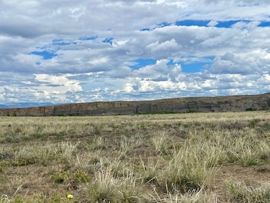 0 Tbd Highway 20 S unit LotWP002 22794648, Greybull, WY 82426 - photo 6