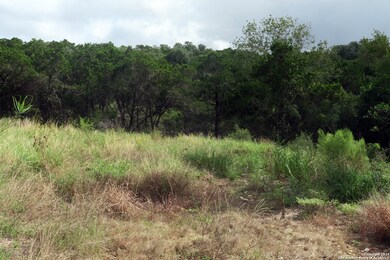 20810 Purple Finch, San Antonio, TX 78256 - photo 4