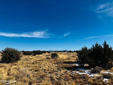 US HWY 180 4 lots Photo 8