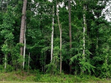 . Fergson Rd Barber Rd Crooked Creek Rd, Silver Creek, MS 39663 - photo 7