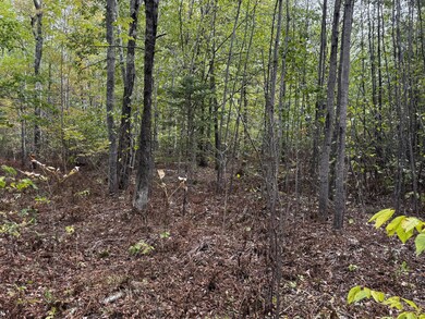 P/O M11 L45a Pease Hill Rd, Anson, ME 04911 - photo 2