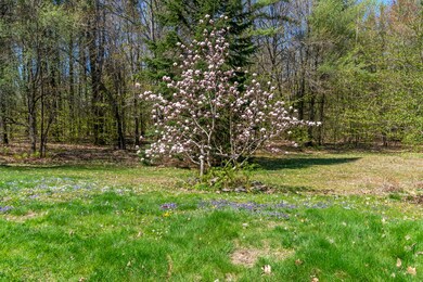172 Starbird Corner Rd_107