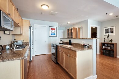 The Strada 234 unit 1104, Boston, MA 02114 - photo 5
