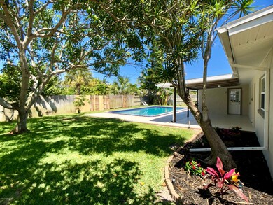 Back Yard Privacy!