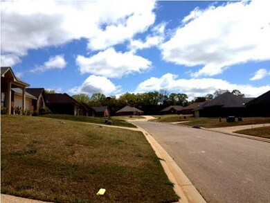 Street view, beautiful subdivision!