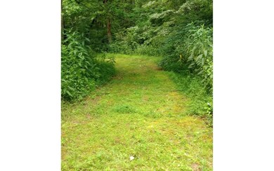 000 Big Creek Rd, Ellijay, GA 30540 - photo 2