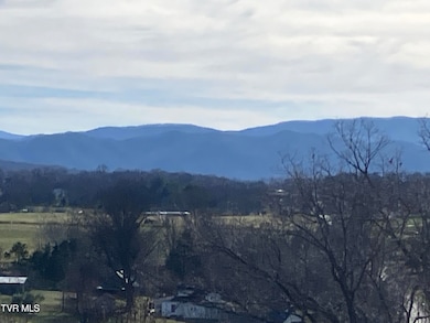 Tbd Methodist Ridge Rd, Telford, TN 37690 - photo 5