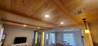 Little Deer Ceiling
