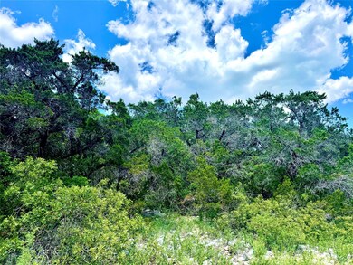 View of wooded area